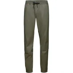Mammut Camie Pants Men iguana